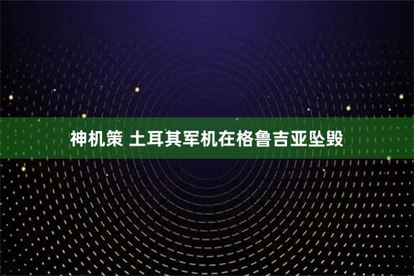 神机策 土耳其军机在格鲁吉亚坠毁