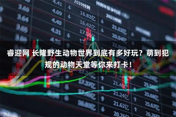 睿迎网 长隆野生动物世界到底有多好玩?萌到犯规的动物天堂等你来打卡!