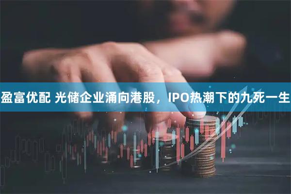 盈富优配 光储企业涌向港股,IPO热潮下的九死一生